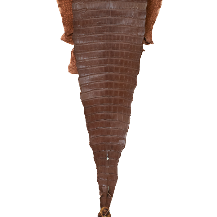 26bef4a1c53e107615dc1224ca8e5f55.png