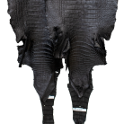 2b57dfcac3cbc945aba4a9d7ae2e8968.png