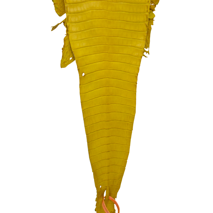3ee4141340807c50ed369cd27ea0ec58.png
