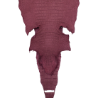 448cc3923d5f821358cbfeaea918628e.png