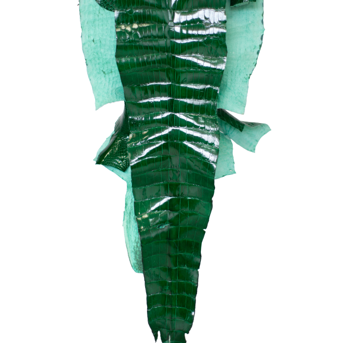 47a96f5b90931c32816a2763de7bacf8.png