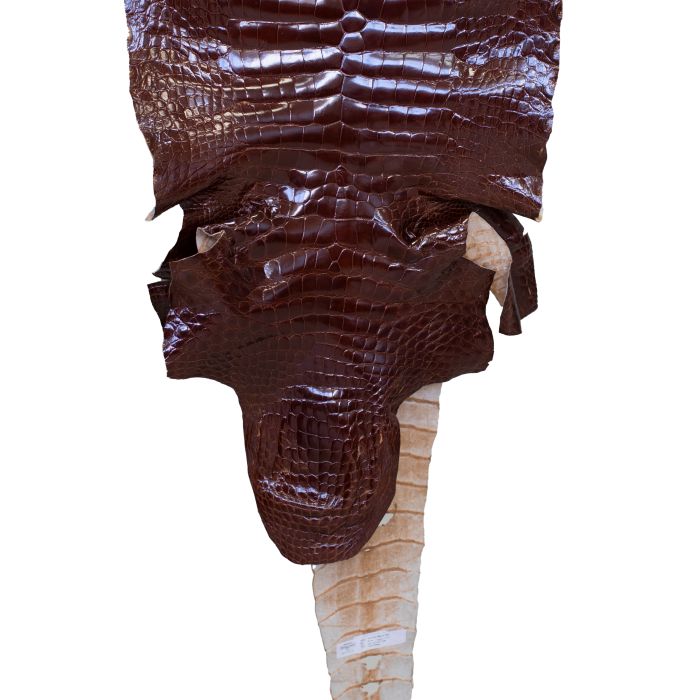 54a44f765f221bb8fe2e829d181c5cea.png