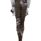 57fb4b9a8a8777ca33cca1fa6cebf5f4.png