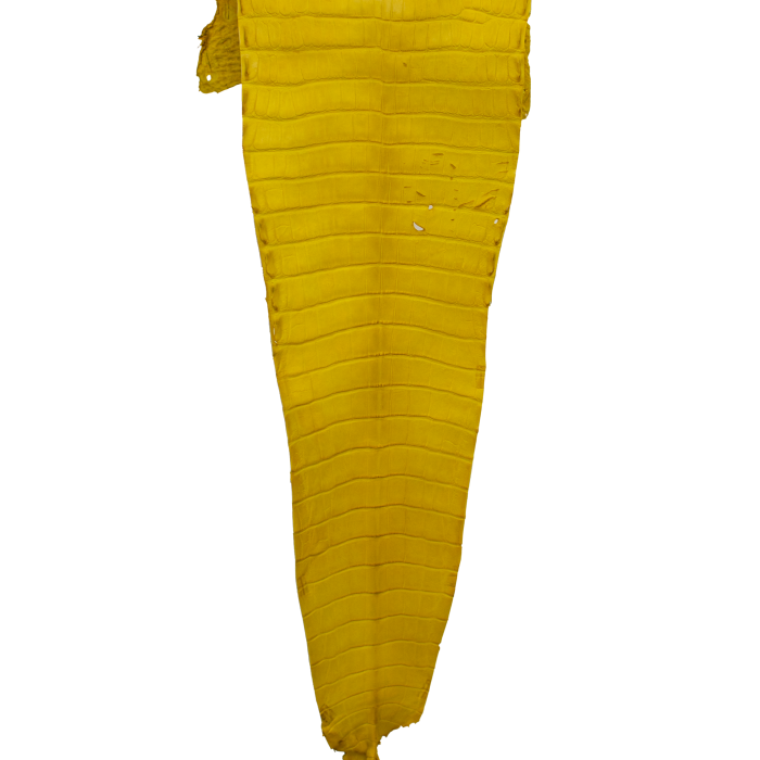 5972cb01100cd2dc1389c6bf83600ad5.png
