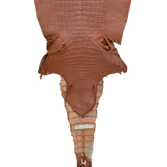 5b8811f1f2f9ecf94b5f6b0bf88e0bb4.jpg
