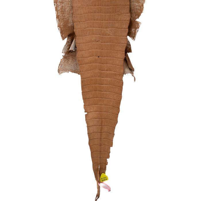 63490f06cf20d5fce03c5a722f84dbad.jpg