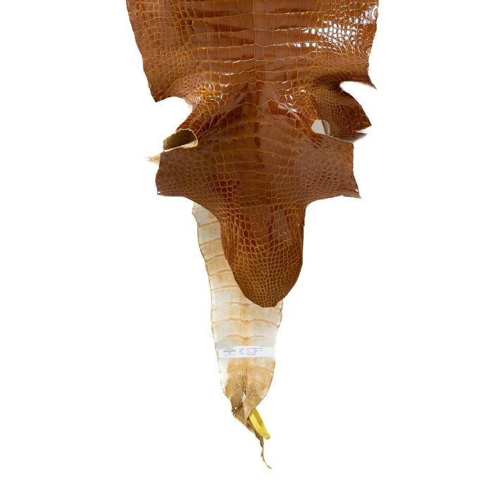 64615f235f82854f879d5a8eb8e93dca.jpg