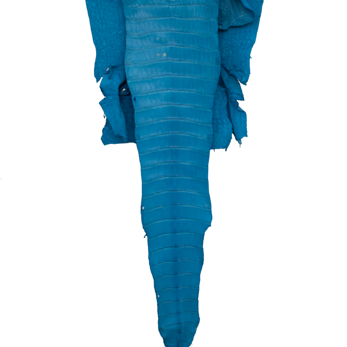 669f41f770ef9f84d89107297351df93.png