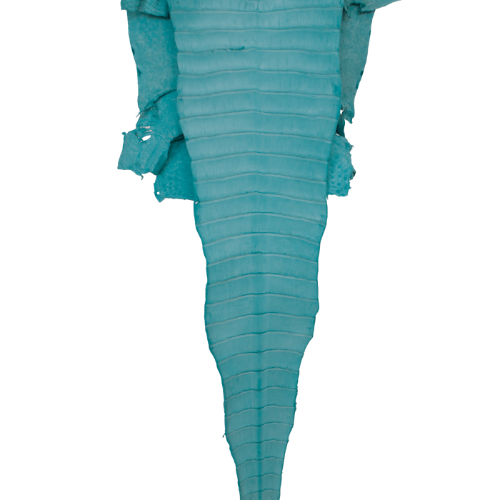 6f95c093fd1359f3bd9d6df9d5ebad42.png