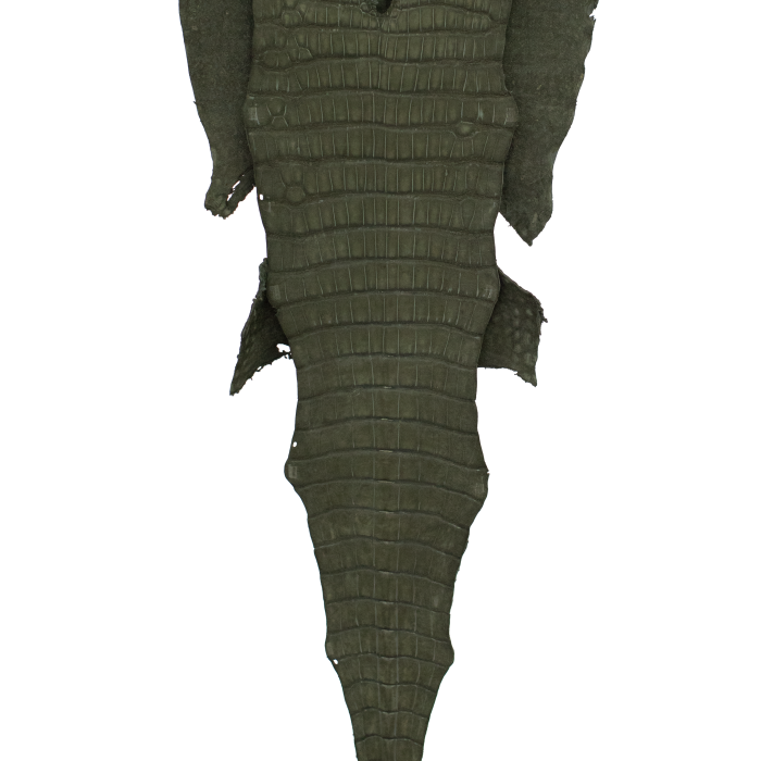 7579cebabc8f1bb008732f7cf939d34f.png