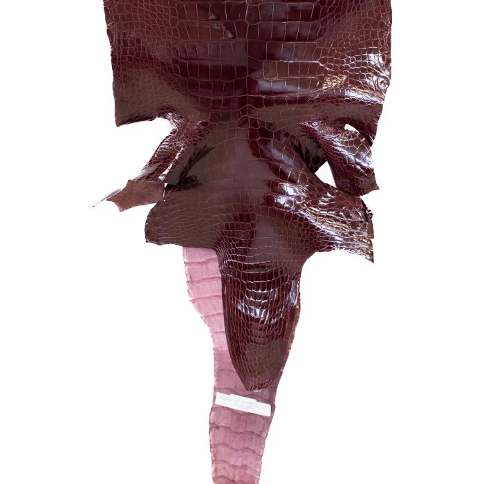 7e81766d7901019034c38c974369c29e.jpg