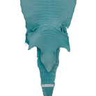 7e8e678ba477bf14c82642a1f6232ebc.png