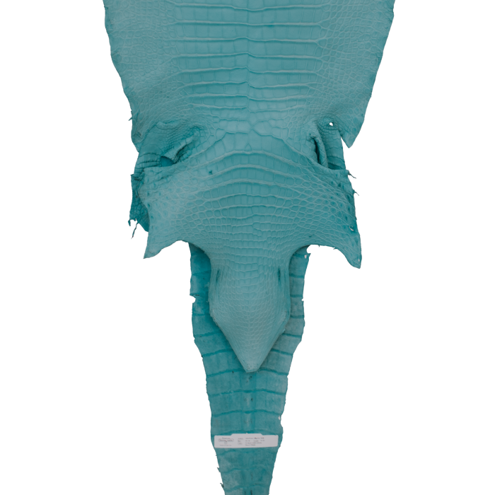 7e8e678ba477bf14c82642a1f6232ebc.png