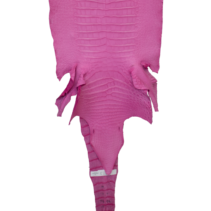 8923beb3a0344a4f28399b3ba0e012b0.png