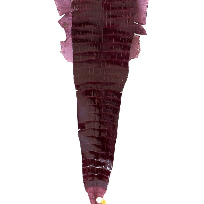 8e987e734b7d1727689710a6d08641c0.jpg
