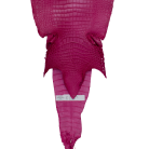 8f16ad56add9c099b523c7c8a4c82ccd.png