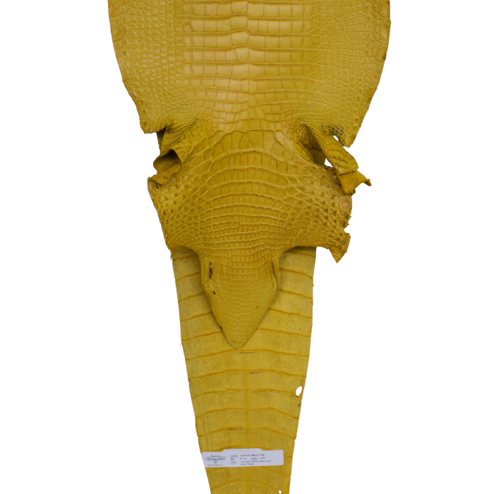 9607c2d7c35e362b54b6a577d49f1e49.png