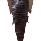976e4f9efd38310ee25c3e0f1fdf6647.jpg