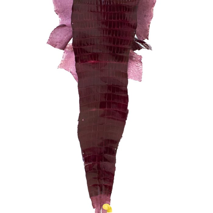 9d171d61e4d36fd4eece504eda7f06cd.jpg