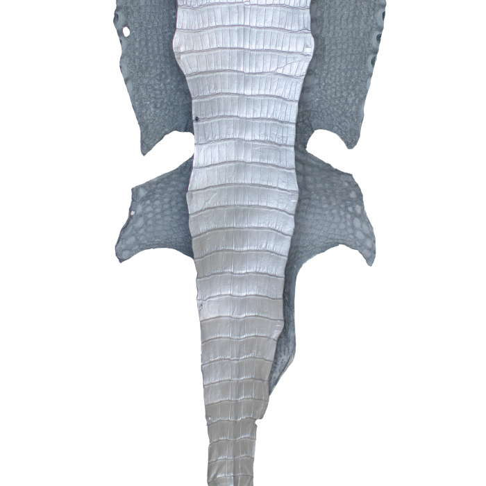 a498dcc0a4d301483f785e5089e29e03.png