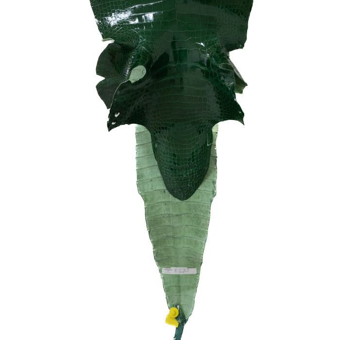 a4e98c6e50d017b4744da2a73f18ee05.jpg