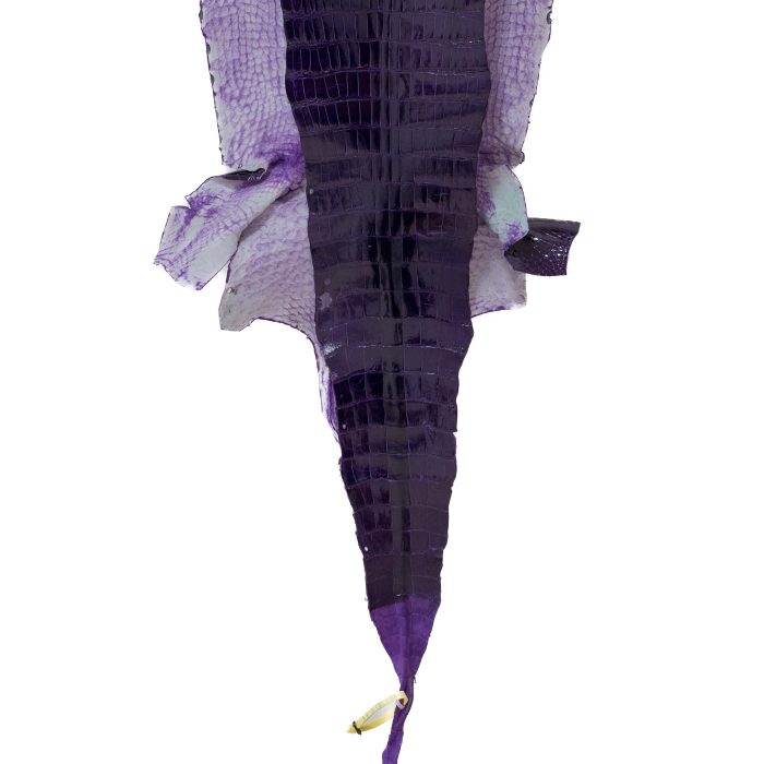 a821a44aa15b0fae4e015446cf1d2bfd.jpg