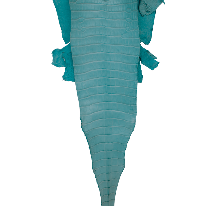 a84845f1bfe26003cc9444000e06f842.png