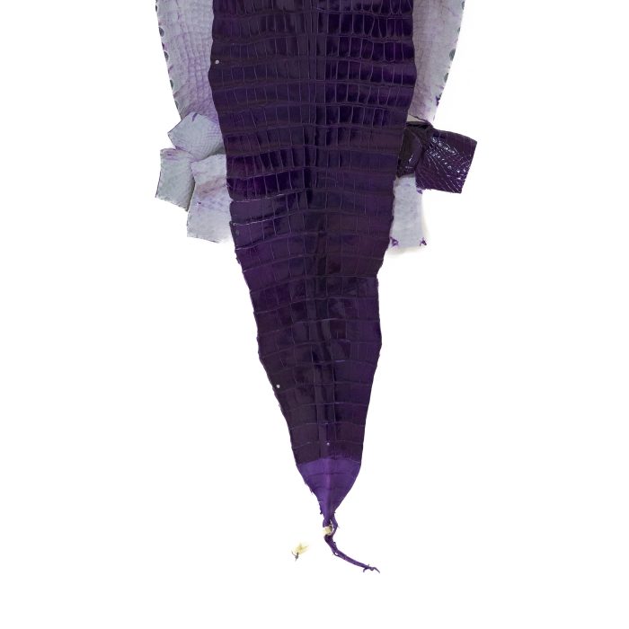 a8a35b6e002d51a55a3bfd724b8627f7.jpg