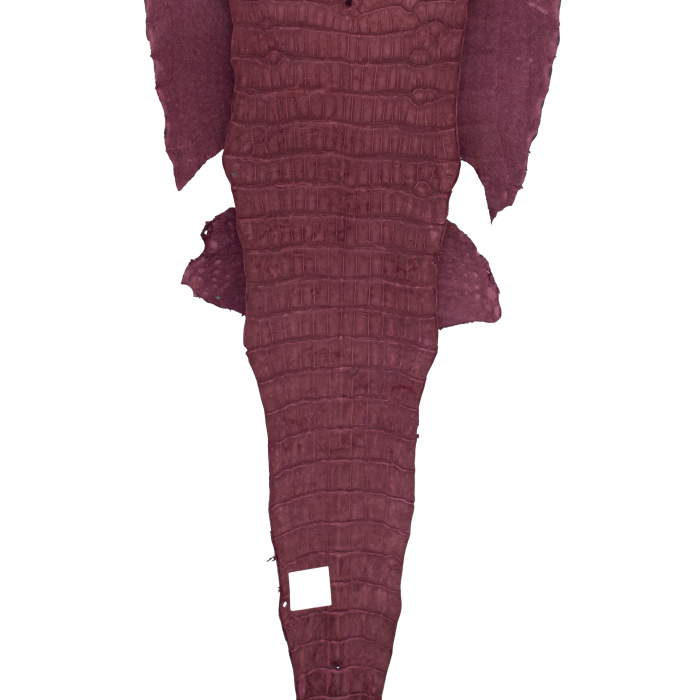 ab58dd2114416be78ca7d09533c6de28.png