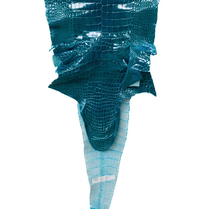 b0237482b5c5e3446204937954254531.jpg