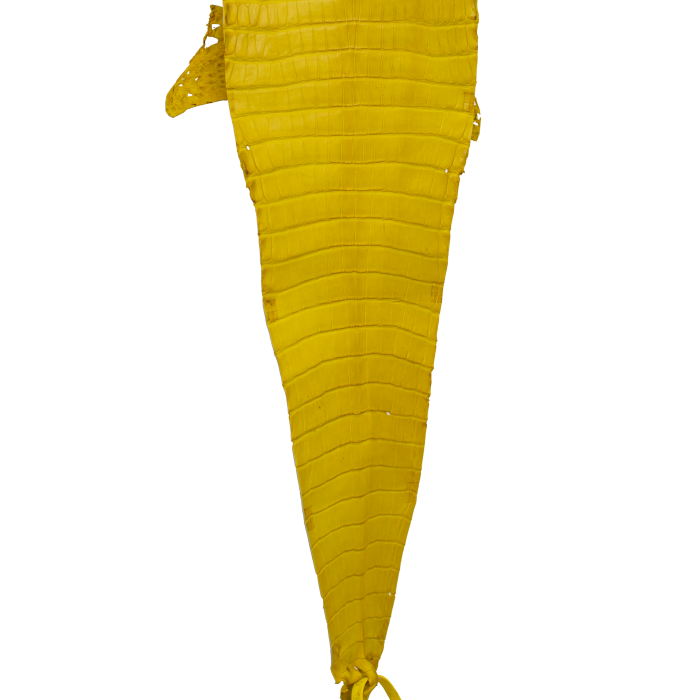 b1377ce7086550663139f3b6da47ec0b.png