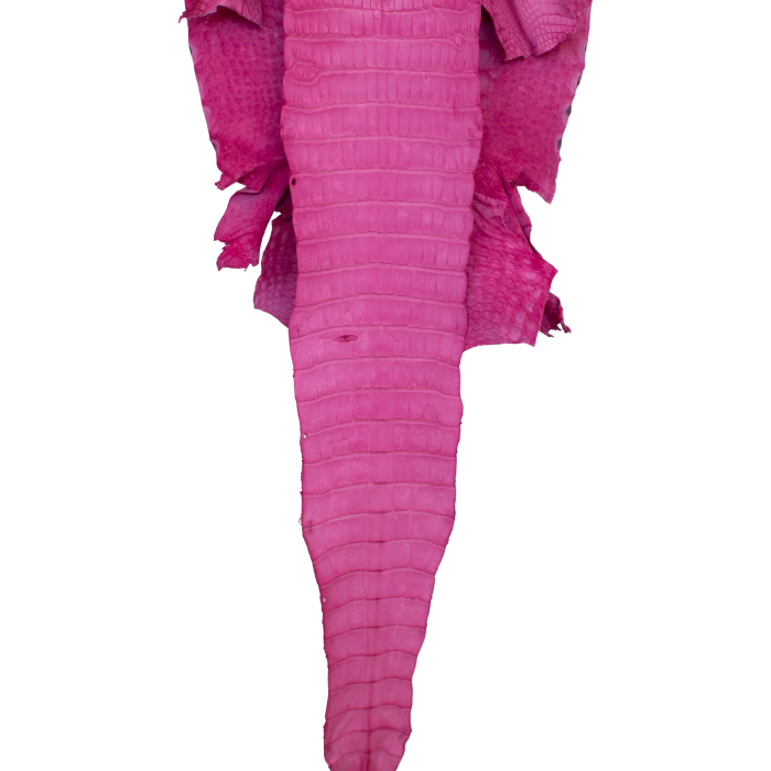 b1ad89f3ee9b489d34e0a3e8df2d3d42.png