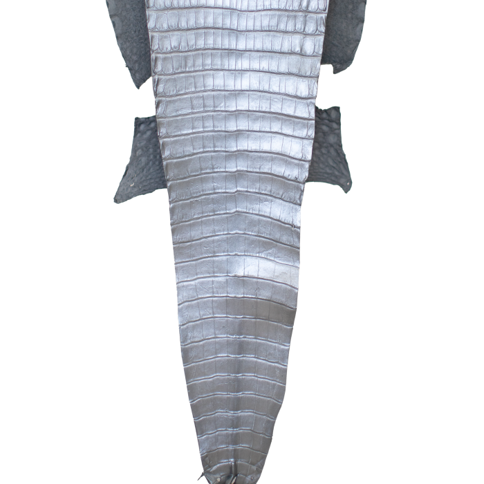 b1ed49816f6e1cdbe56d643a7c68007f.png