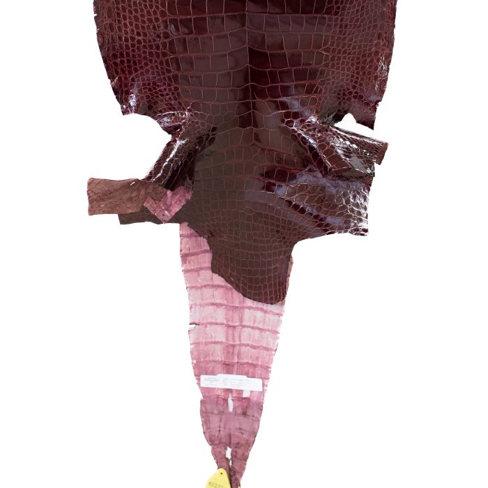 b4996d64d55ab665bb9c66a144f54e15.jpg