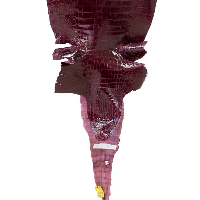 b49c3df599ebf6731bd9a1e77c17c8d3.jpg