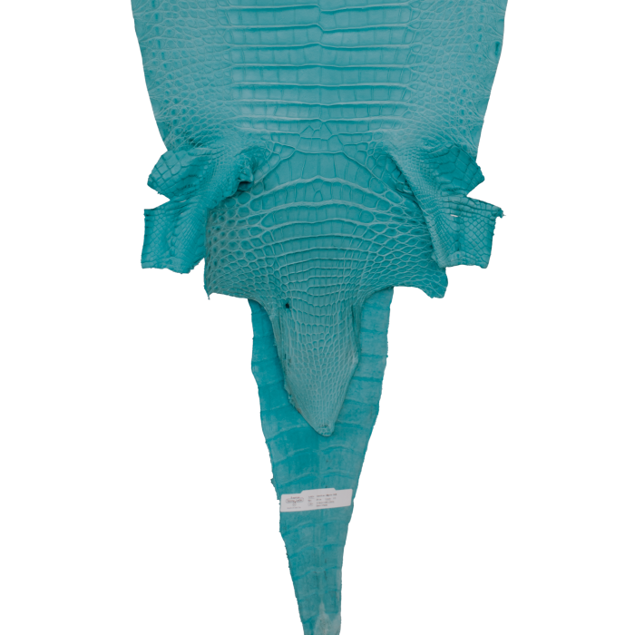 b70fa1c41fe0ba48b5c63bb8e676c168.png