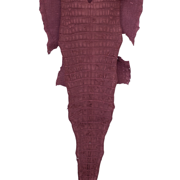 b822b4c7146884aa3a5ccf3e904dd196.png