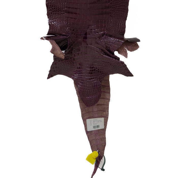 b9ad2ec4dffa96ff8e51b022d1212559.jpg
