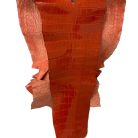 bcacdf7b000f64559562abe9f43fe0a6.jpg