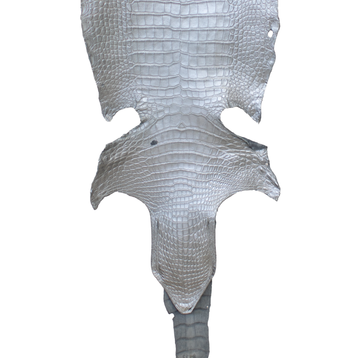 bec8a65b09134fa748f55b4489f72007.png