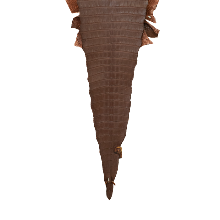 c01cafd1c9a4ce31d8d070434b903541.png