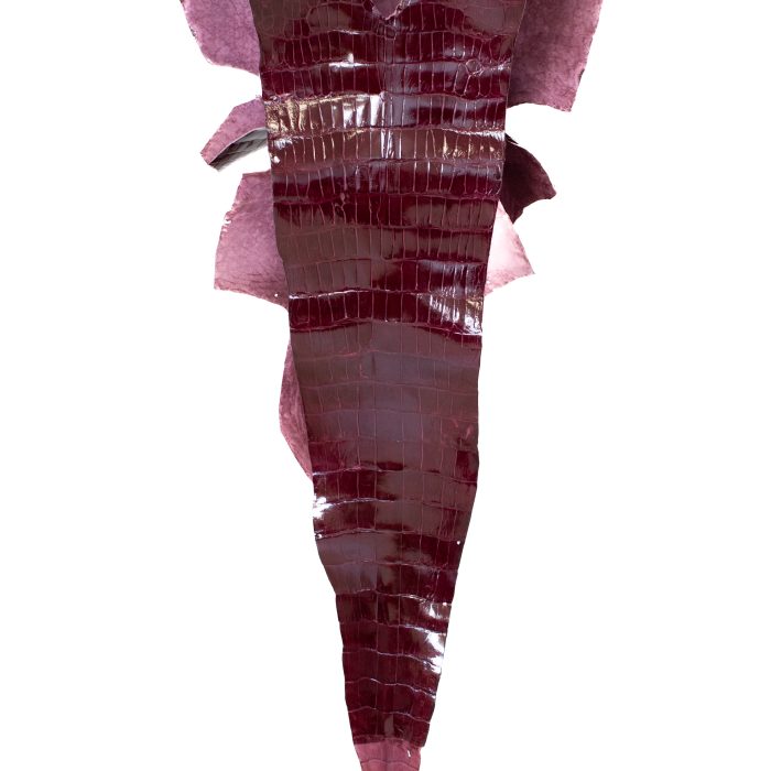 c12fce3ed9048087241ce6e06900bb79.jpg