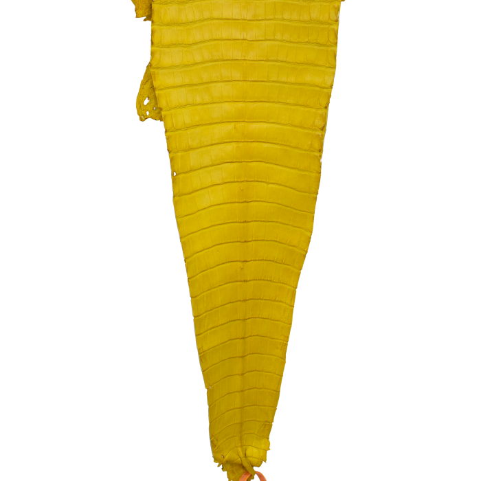 c1a1cffba7033d506a9a69bd291ef985.png
