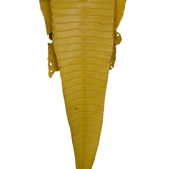 c5cbe499f3b5abf093c508449906fca7.png
