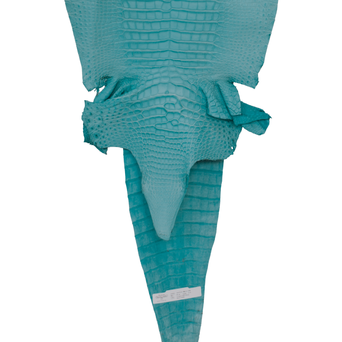 c779d69091a577a035c8179e59913cdb.png