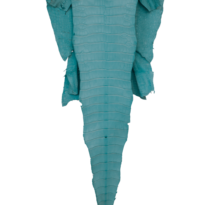 c7f82666905d22f1adbe81be0a2fecfc.png