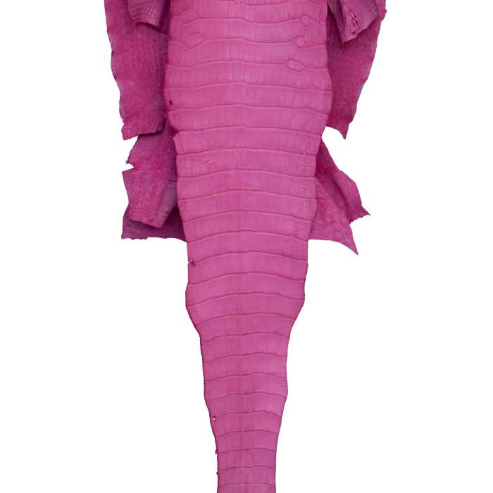 ce4df6003bd86abe5d1fc77470870c90.png