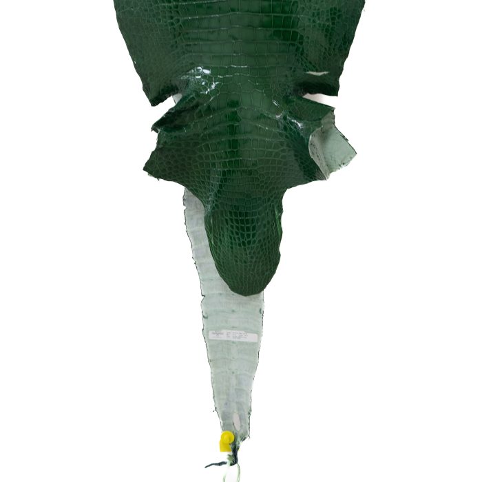 d10f9e591bfe6508a748b24f8c051baf.jpg