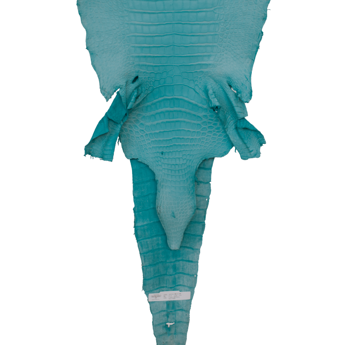 d5dc7cca6fc1f202732098164ad7e093.png