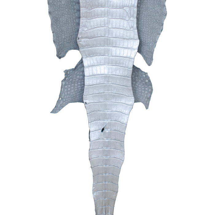 db510269ff6a4a62bb683bd18cd1b2d3.png